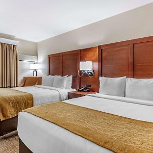 Standard Room 2 Queen Beds Accessible Tub Non Smoking