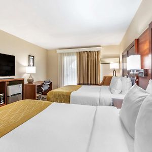 Standard Room 2 Queen Beds Non Smoking